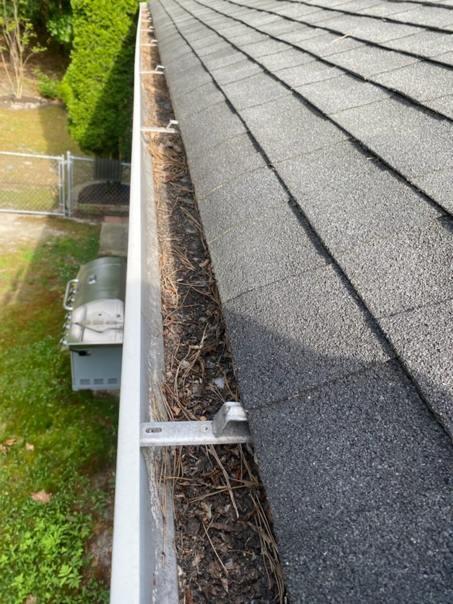 Gutter packed with pine needles and leaves before cleaning