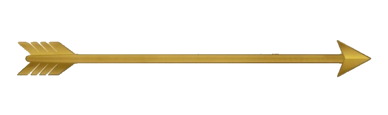 Precision SoftWash LLC