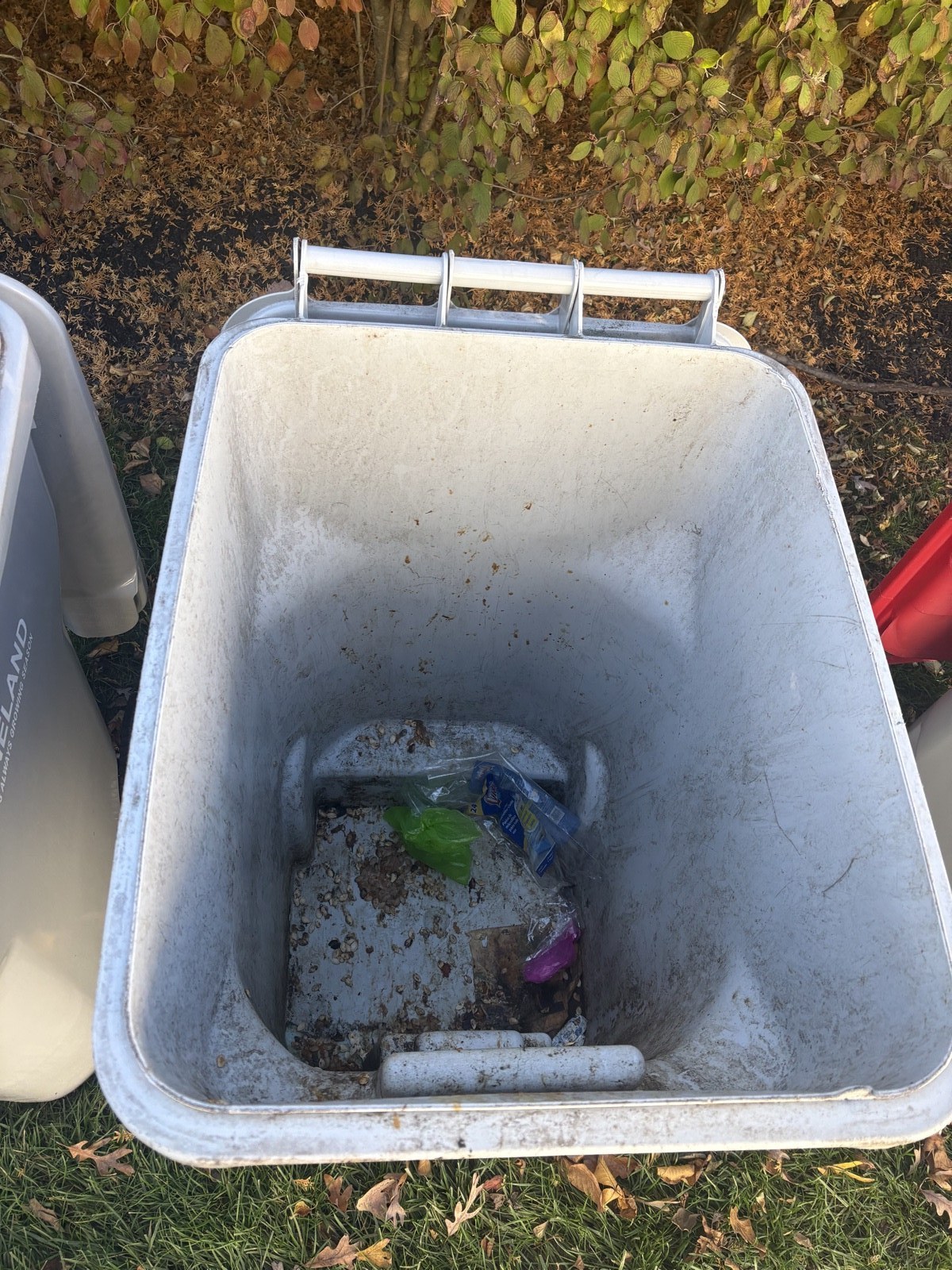 Dirty trashcan before