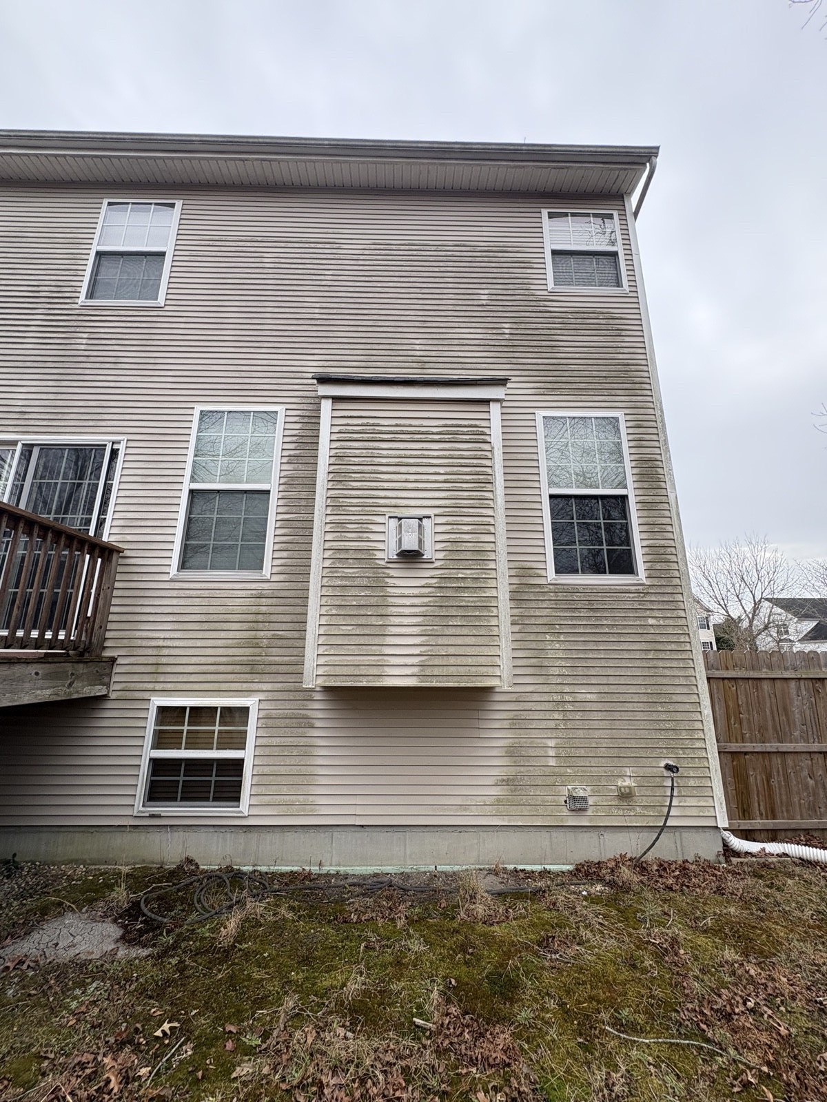 Before soft washing — algae and mildew on siding