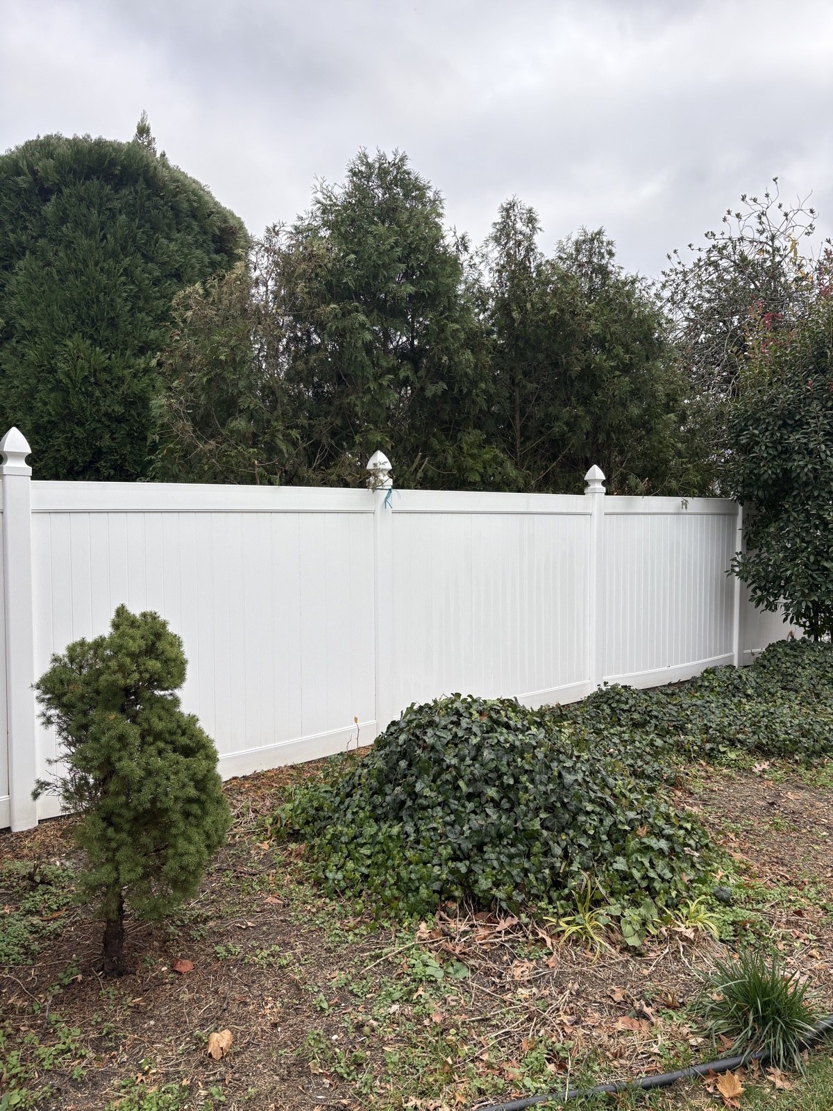 PVC fence after