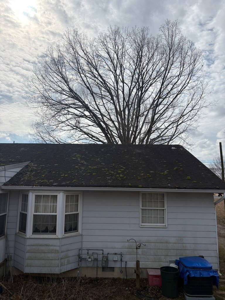 Roof and siding before soft wash