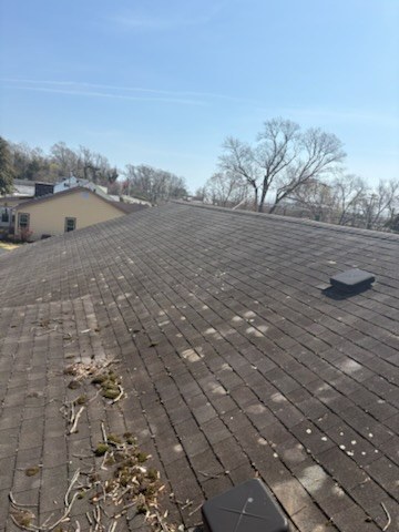 Asphalt shingle roof before soft wash — algae and debris