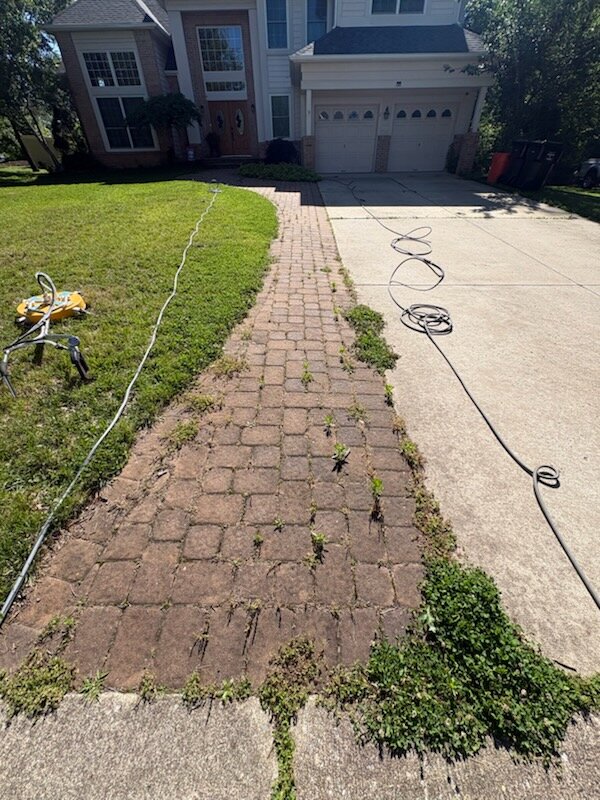 Paver walkway before — weeds, moss and faded color