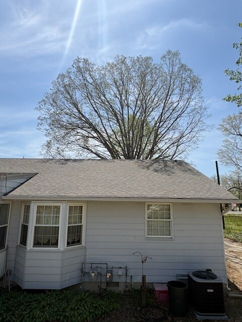 Roof after professional soft wash — clean and uniform