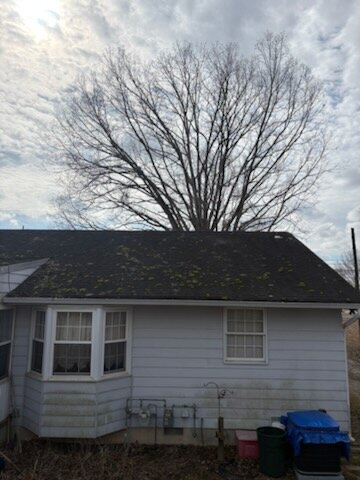 Roof before soft washing — black algae streaks and moss