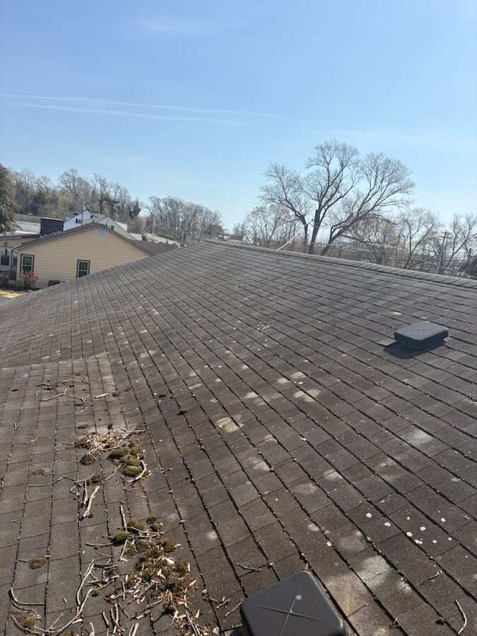 Roof before soft washing — algae streaks and debris